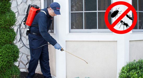 Eceabat Kemirgen İlaçlama böcek ilaçlama ve haşere kontrolü — ilaclama-tr.com